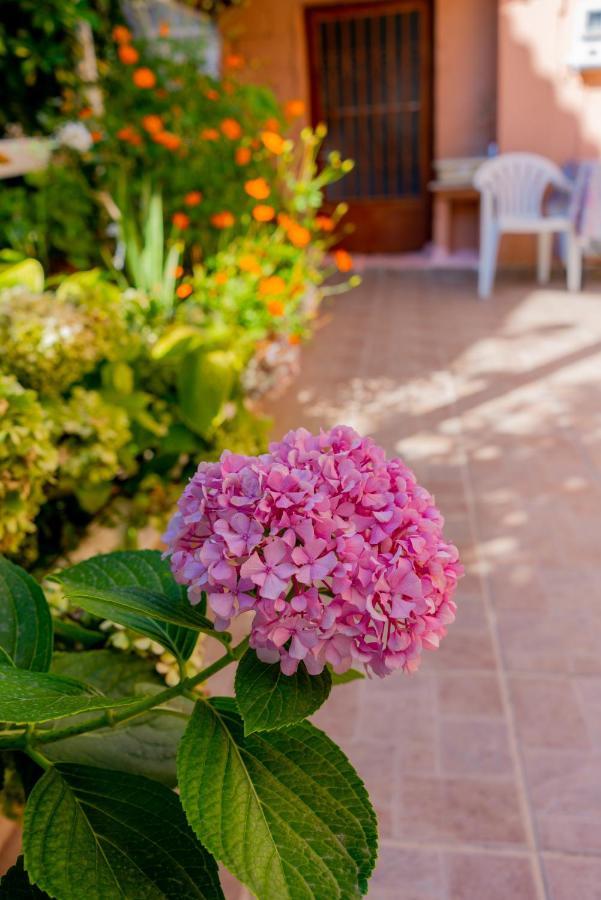 Valsamis Villa Apartments Poros (Kefalonia) Exterior foto